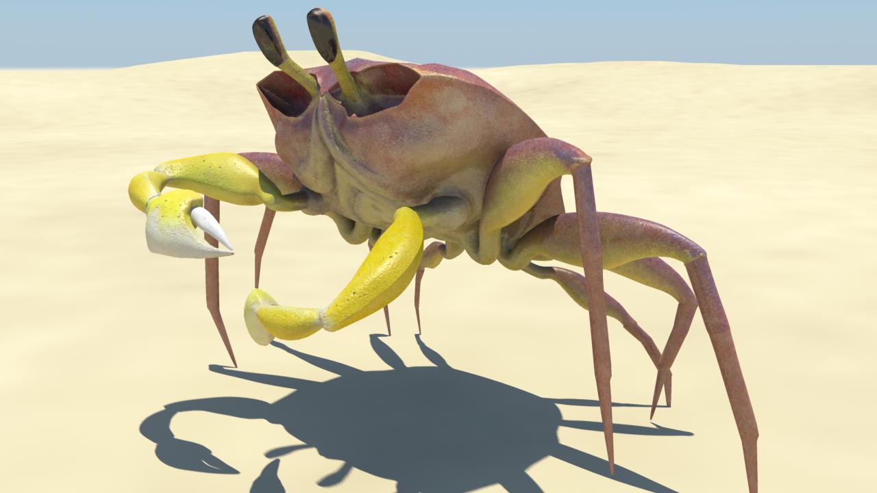 Crab
