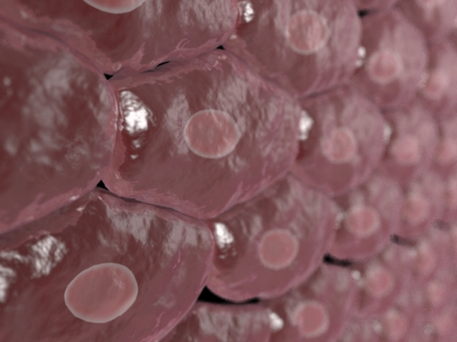 Cells