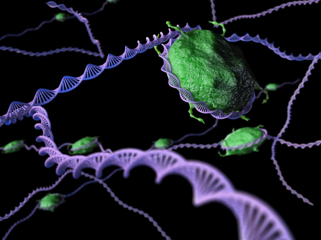 DNA
